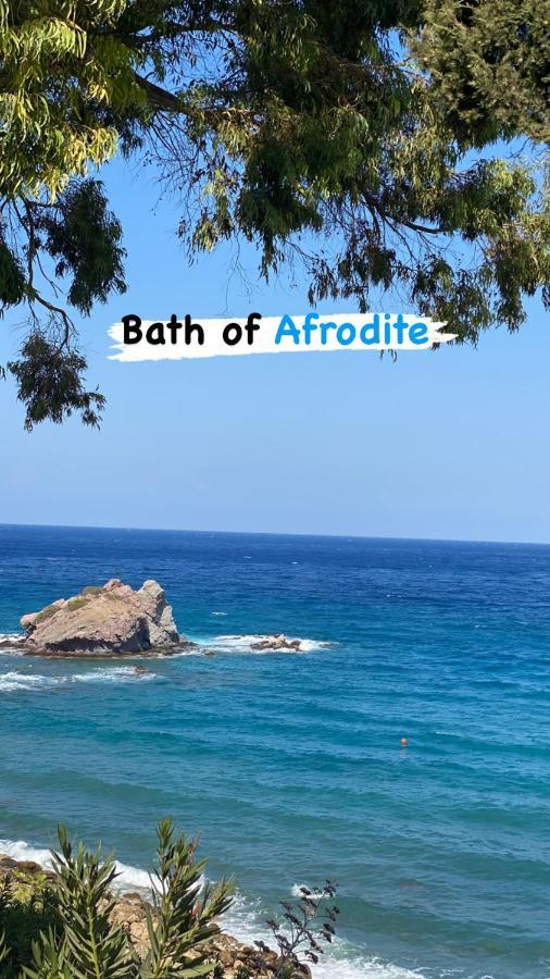 Beautiful Apartment Near The Sea And A Large Private Garden Paphos Eksteriør bilde