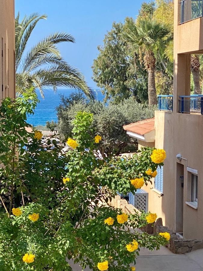 Beautiful Apartment Near The Sea And A Large Private Garden Paphos Eksteriør bilde